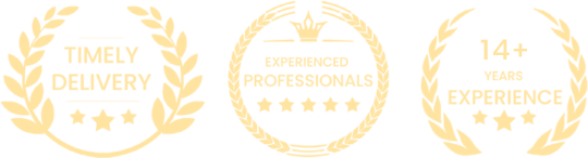 Website Design and development Service in Chandigarh